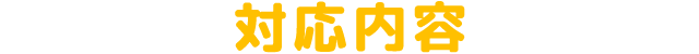対応内容